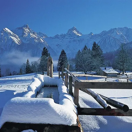 Blankus 1 Brand (Vorarlberg)